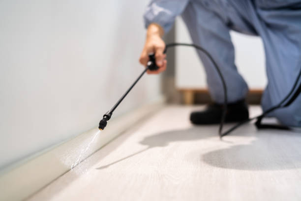 Rodent Entry Point Assessment in Cleveland