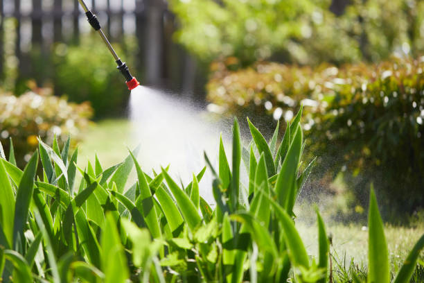Tamper-Resistant Bait Stations for Rodents in Cleveland
