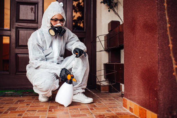 Attic and Crawl Space Rodent Treatment in Cleveland