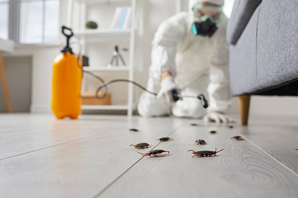 Commercial Rodent Management in Cleveland
